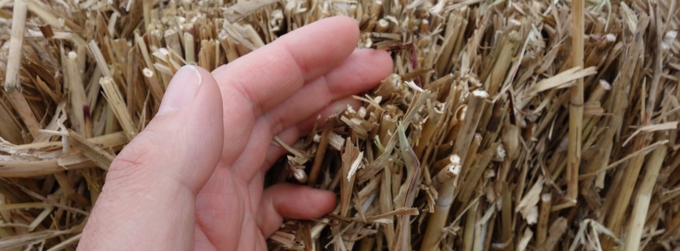 Close up of a hand in a bale of straw