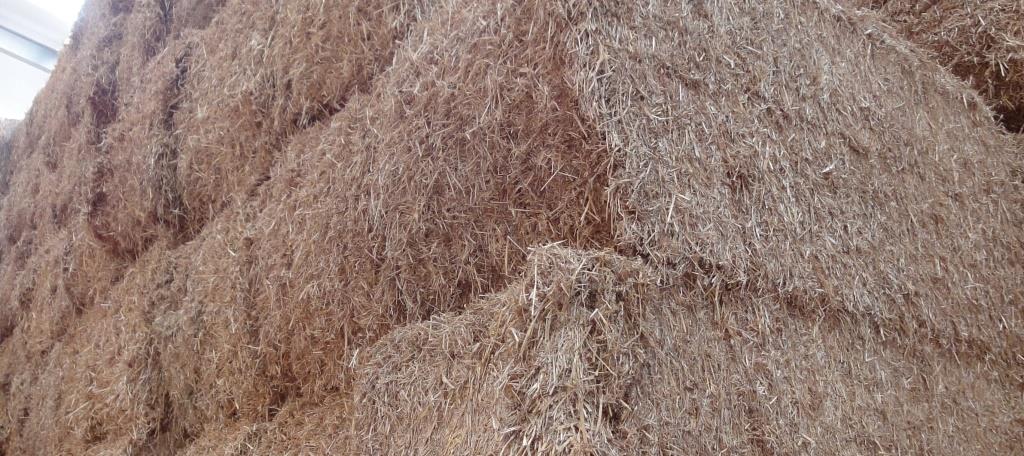 straw bales stacked in field