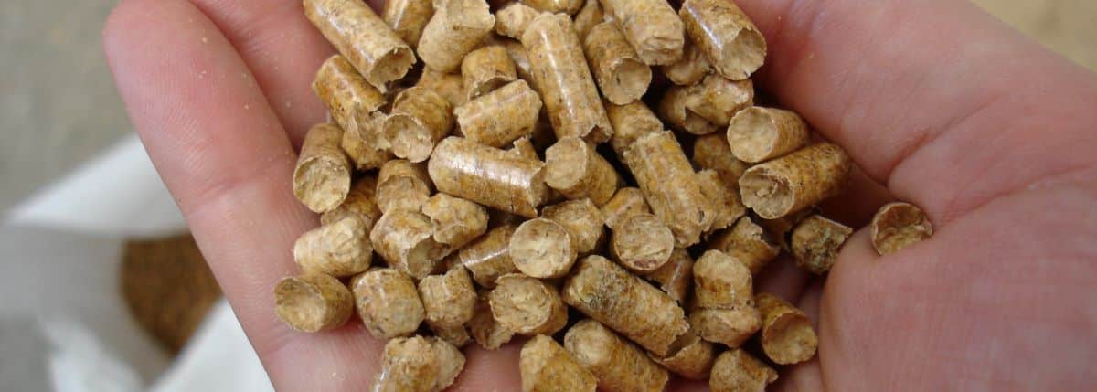 Close up shot of a handful of wood pellets