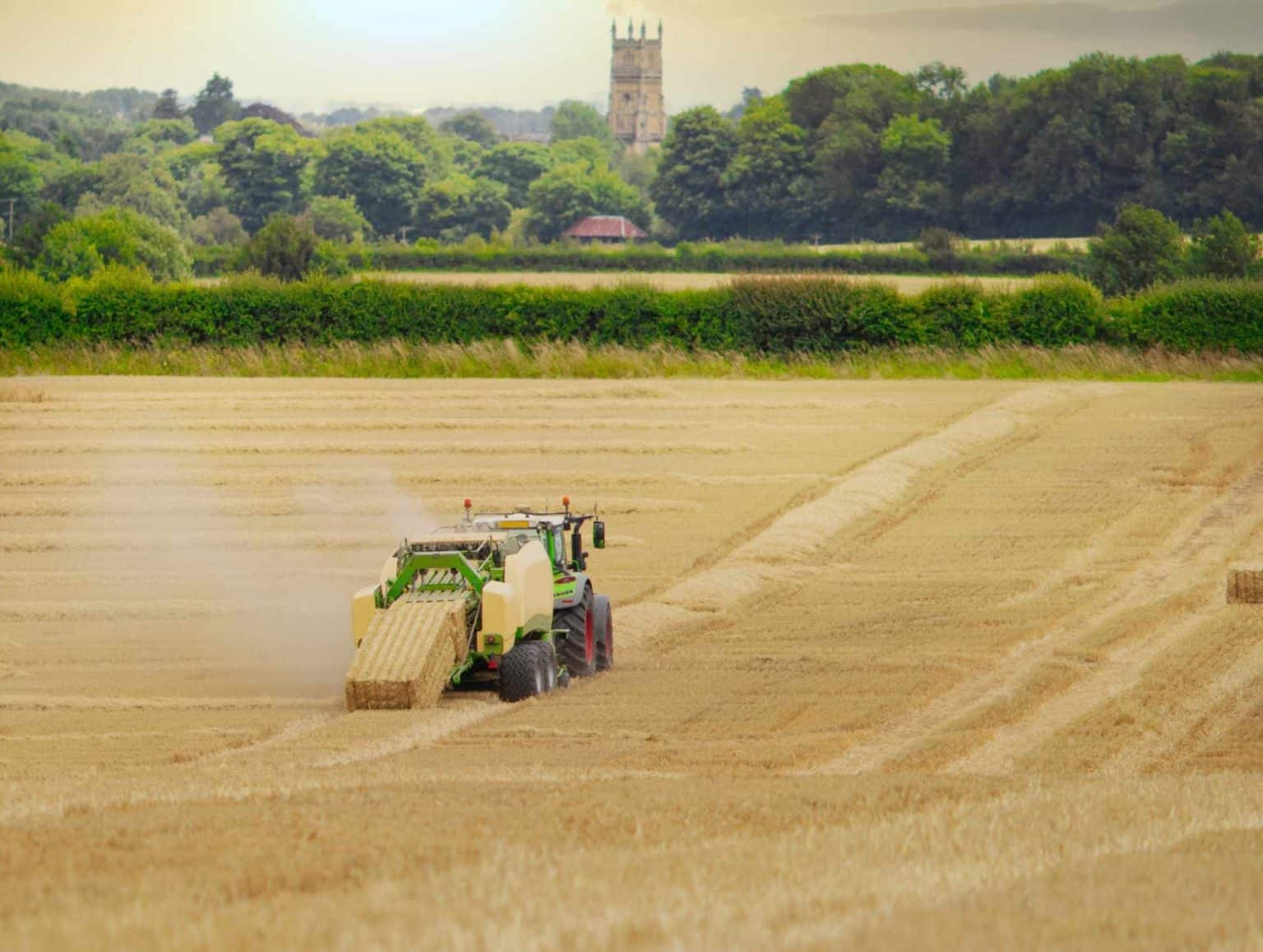 harvest